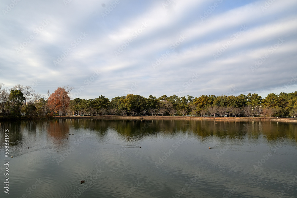 Obraz premium 空にストライプ状の雲がクロスするように浮かんでいる池の風景