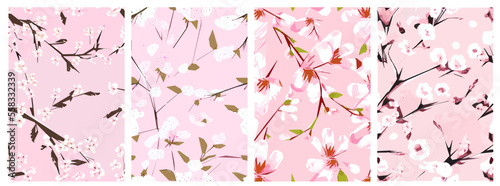 Cherry Blossoms Sakura flowers on pink background