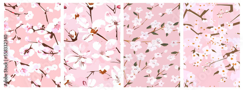 Cherry Blossoms Sakura flowers on pink background