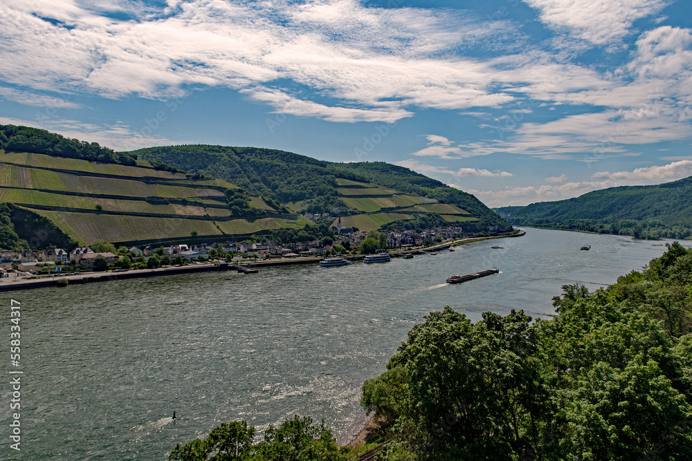 Blick auf den Rhein und die oberrheinische Tiefebene bei Trechtingshausen, Rheinland-Pfalz