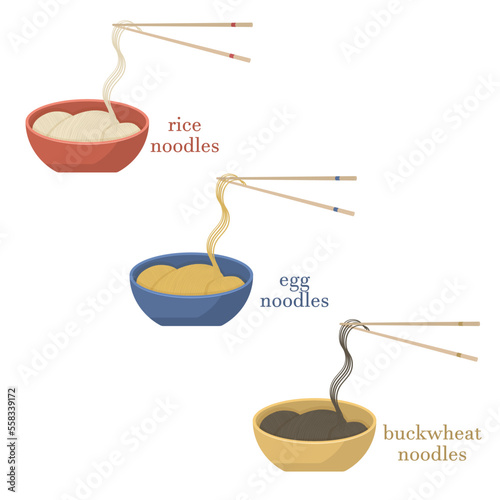Set of three types of noodles. Rice, egg and buckwheat noodles. Asian dish illustration