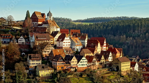 malerische Ansicht auf Stadt Altensteig im Schwarzwald mit bunten mittelalterlichen Häusern am Berg gelegen