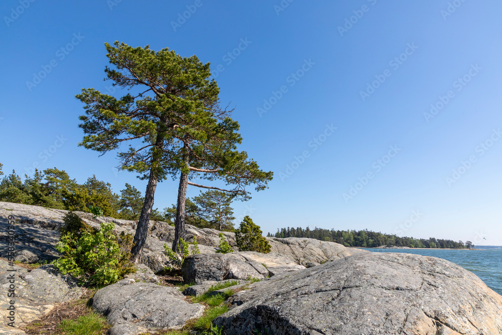 A Beautiful summer day on the shore. A Beautiful summer day on the shore.