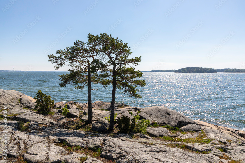 A Beautiful summer day on the shore. A Beautiful summer day on the shore.