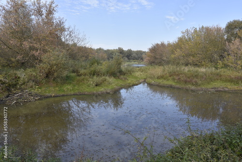 rezerwat przyrody, wyspy świderskie, plaza, woda, niebo, piach, krajobraz, wybrzeże, linia brzegowa, lato, 