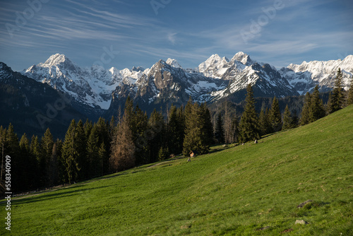 Fototapeta Naklejka Na Ścianę i Meble -  widok na Tatry Wysokie z Rusinowej Polany w Tatrach