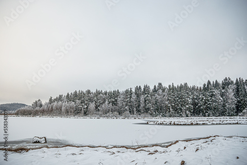frozen landscape with snow and trees and lake