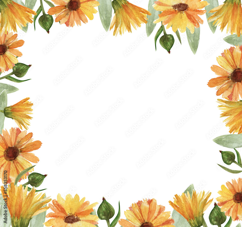 Square frame of yellow calendula flowers, orange and yellow watercolor flowers.