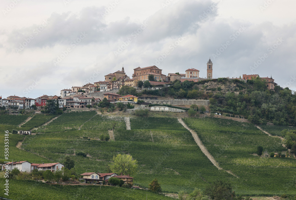 Langhe vineyards near La Morra, Unesco Site, Piedmont, Italy
