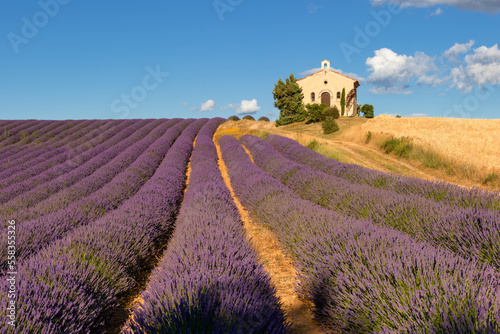 Summer in Provence with lavender and wheat fields. Entrevennes chapel in the Alpes-de-Haute-Provence, France