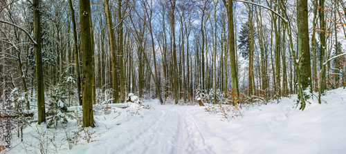 zima w lesie na Warmii w północno-wschodniej Polsce © Janusz Lipiński