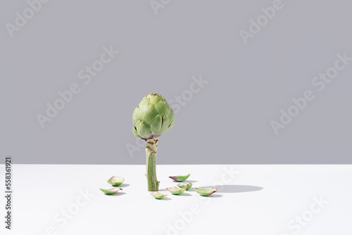 Flor de alcachofa cruda en pie con hojas que caen sobre una mesa blanca y fondo gris	 photo