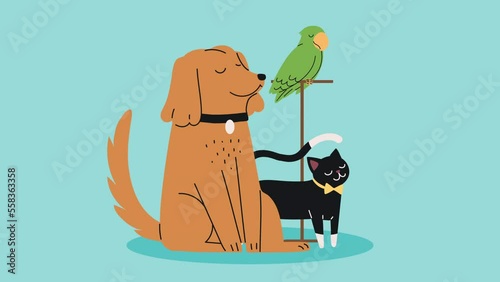 dog with cat and parrot animation