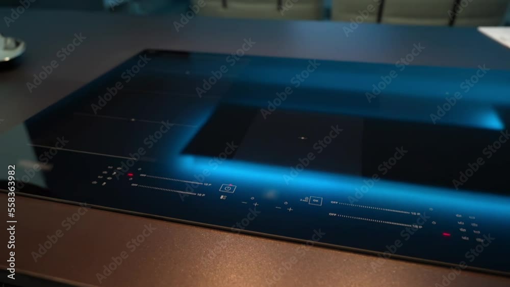 Modern induction cooker in the kitchen Modern induction cooker in the kitchen