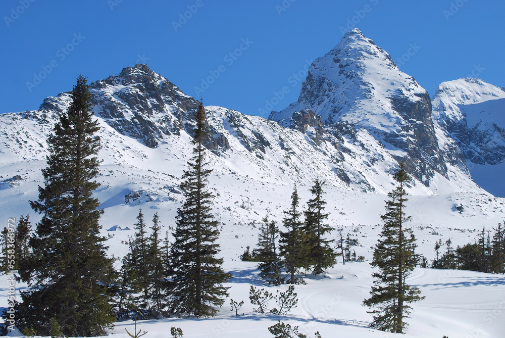 Fototapeta premium Kościelec, Tatry, góry, zima, śnieg, TPN, 