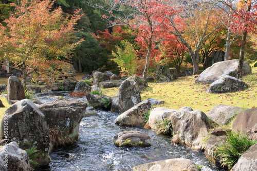 秋の庭園の小川