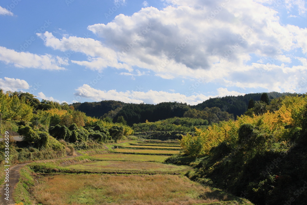 秋の田園風景 秋の田園風景
