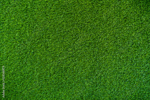 Green grass soccer field for background.