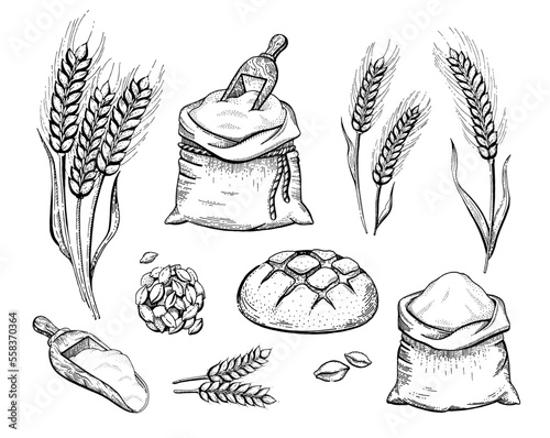 Wheat bread and ear sketch set. Vector bakery. Vintage food. Wheat loaf, flour bag with shovel, bun illustration. Hand drawn icon set. Doodle sketch bread collection. Vintage black white line isolated