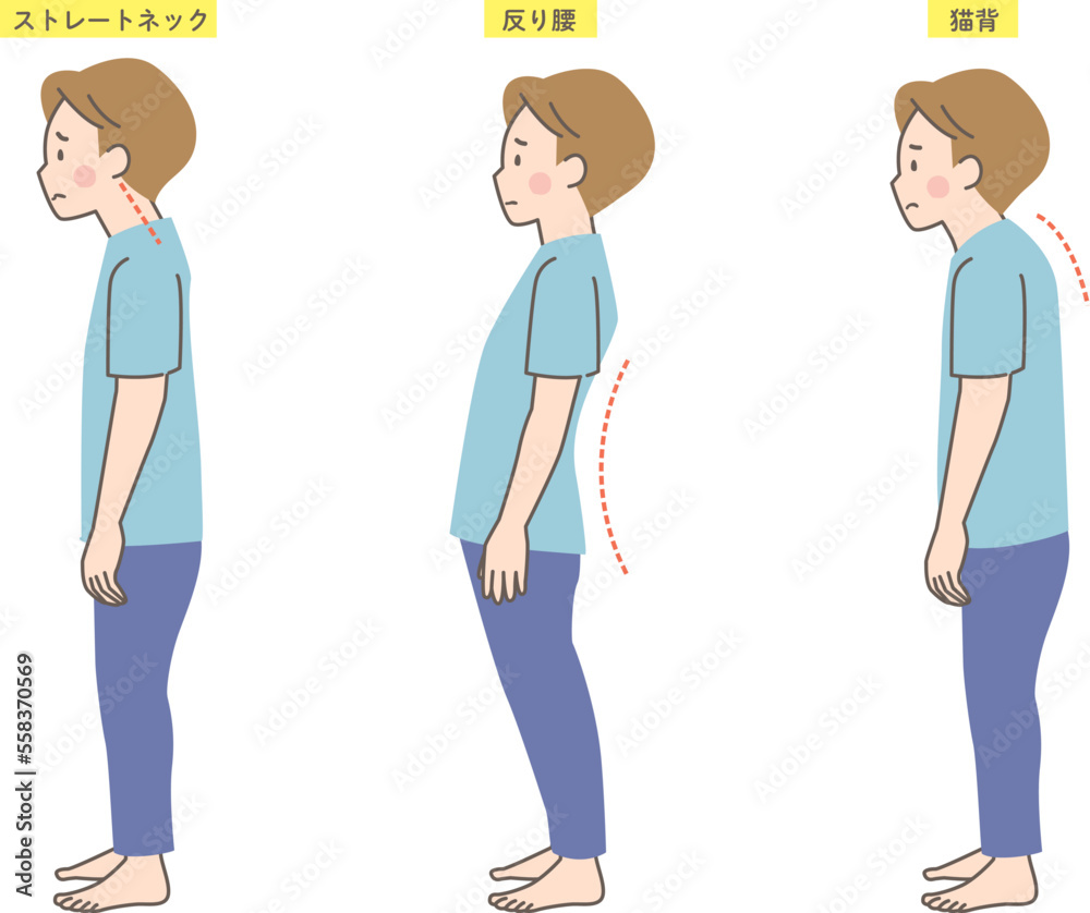 男性の良い姿勢と悪い姿勢の見本 男性の良い姿勢と悪い姿勢の見本