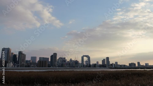 Time lapse of dusk in a field of silver grass at Yodogawa, Umeda, Osaka photo