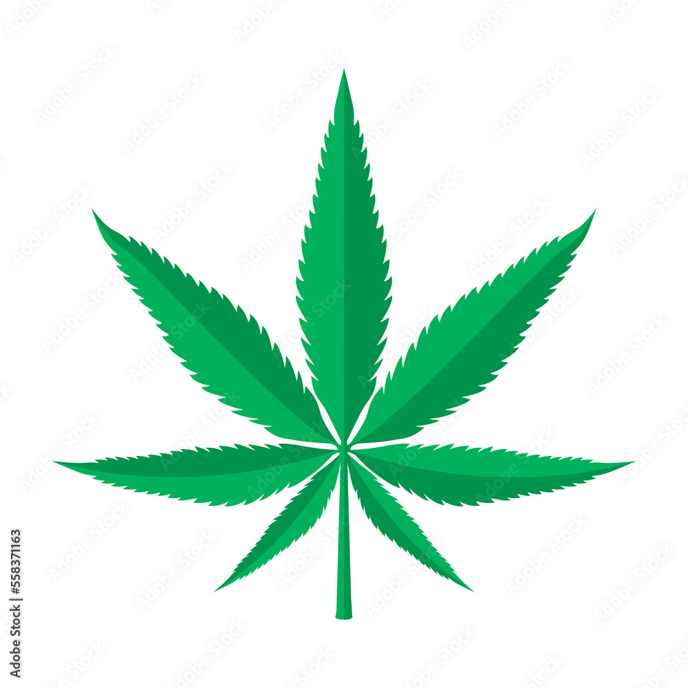 Marijuana Weed Green Herbal Leaf Vector Illustration Marijuana Weed Green Herbal Leaf Vector Illustration