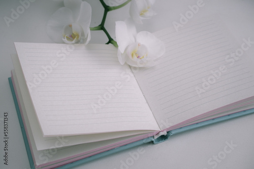 Paper note pad on white table with magnolia flowers. Holiday, planning photography concept with copyspace. Flower with open notebook on whiten table