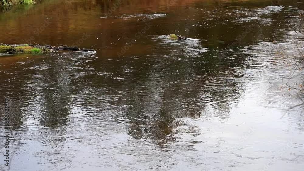 The movement of water in the river on an autumn cloudy day The movement of water in the river on an autumn cloudy day