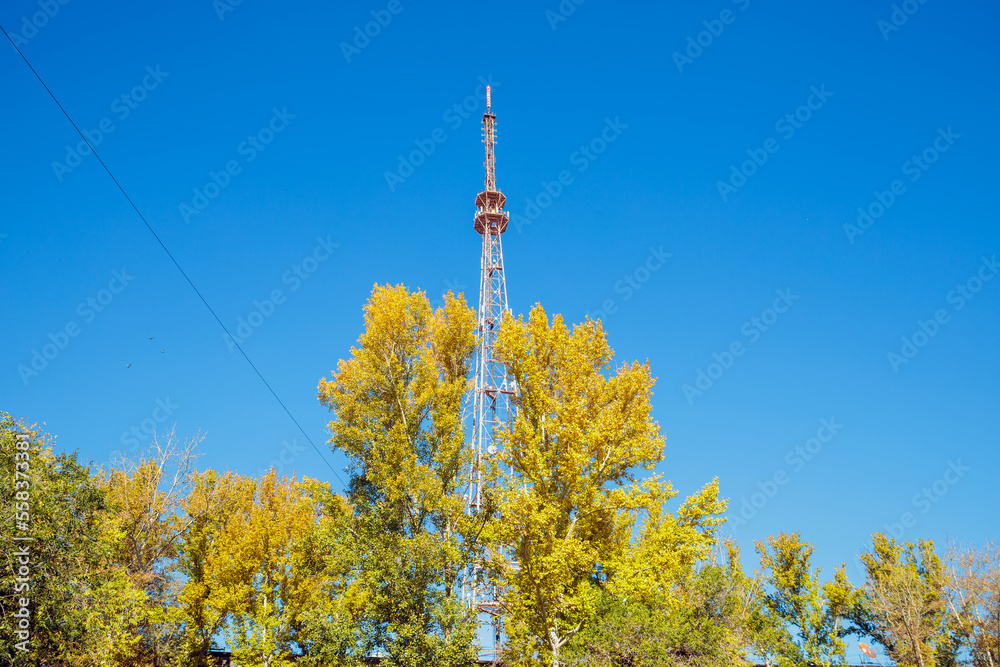 Obraz premium Huge city television tower antenna and autumn yellow leaves trees on blue sky. View from below
