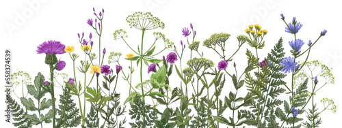 Wildflowers in summer. Wild herbs.  Red poppies, cornflowers, forget-me-nots, yellow buttercups, ferns, butterflies, bees