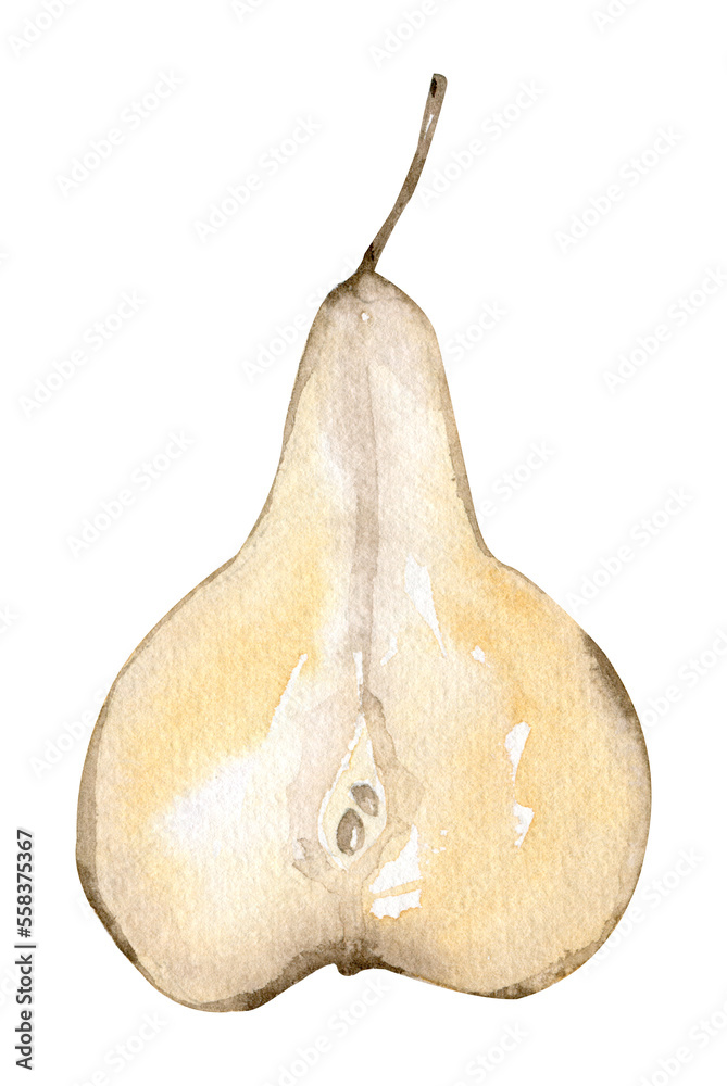 Watercolor pear, fruit clipart, organic healthy food on isolated background
