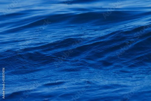 Blue water background.