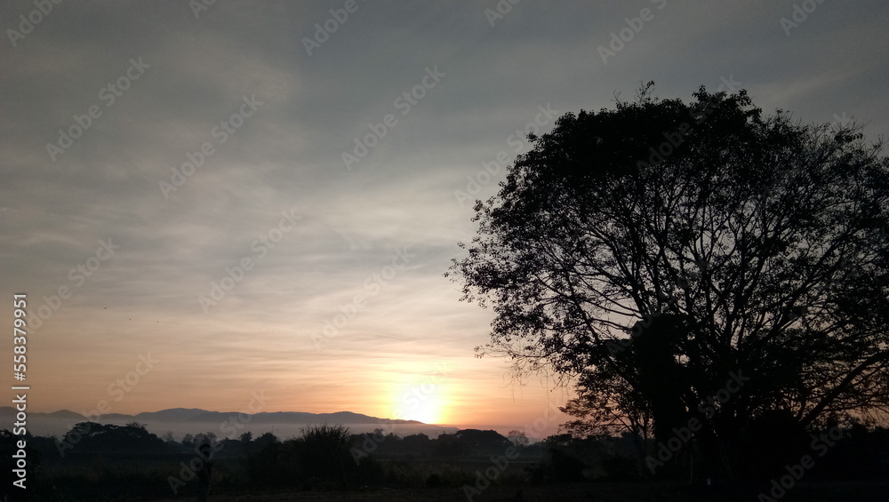 Fototapeta premium sunrise