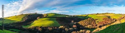 Fields and Farms over Man Sands from a drone  Brixham  Kingswear  Devon  England  Europe