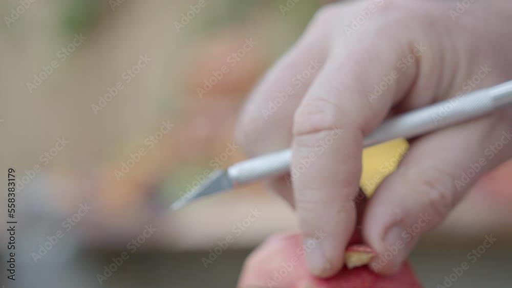 Preparation for halloween. Cutting a face out of a grenade. Preparation of decoration Preparation for halloween. Cutting a face out of a grenade. Preparation of decoration