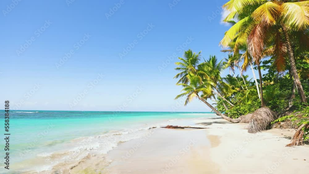 The wind sways the bright palm branches of a Thailand beach on a sunny day. Tropical island landscape with turquoise wave on white sand. Summer vacation. Travel to tropical paradise.