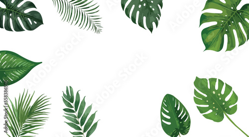 Vector set of tropical leaves. Hand drawn Palm leaves illustration in watercolor vector set