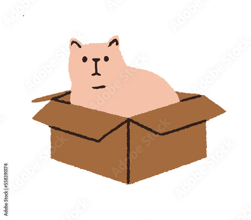 Cute cat inside box. Funny kitty sitting in cardboard package. Amusing feline animal pet in open carton pack. Adorable kitten in container. Flat vector illustration isolated on white background