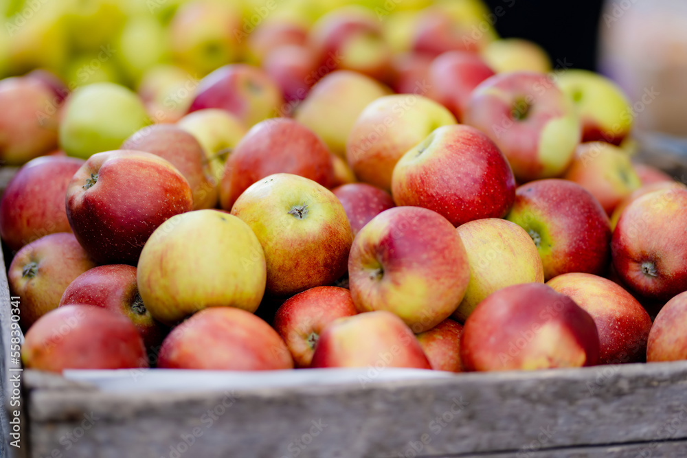Fresh red and yellow apples in wooden crates sold on farmers food market in Vilnius, Lithuania Fresh red and yellow apples in wooden crates sold on farmers food market in Vilnius, Lithuania