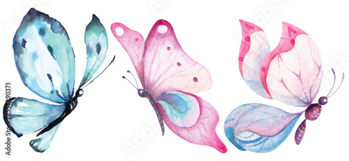 Butterfly painted with watercolors.Insect pollination. © joy8046