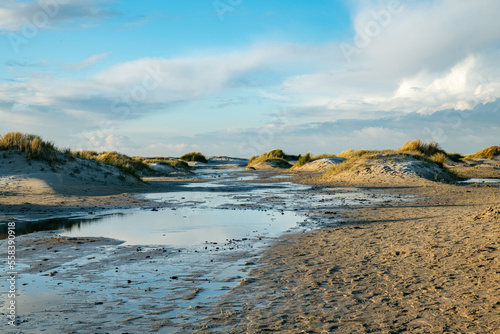 nature area de hors on the south part of the island texel