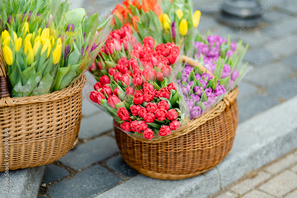Beautiful colorful tulips sold in outdoor flower shop