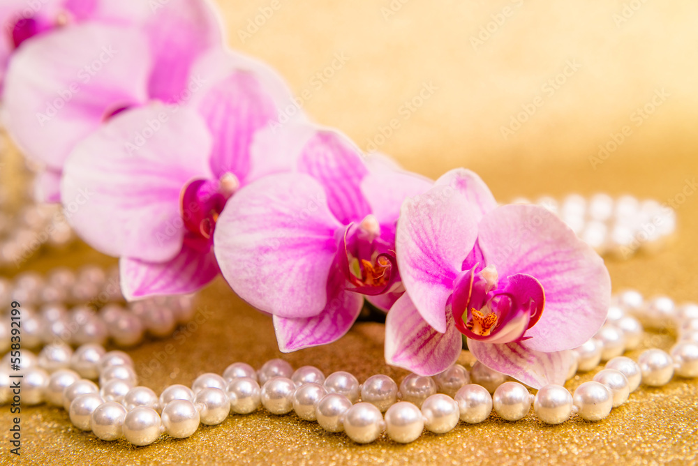 purple Orchid and pearl necklace on a shiny gold background
purple Orchid and pearl necklace on a shiny gold background
