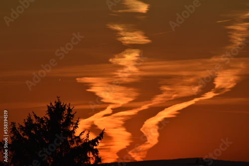 smoke-like clouds in evening orange sky and a tree at sunset