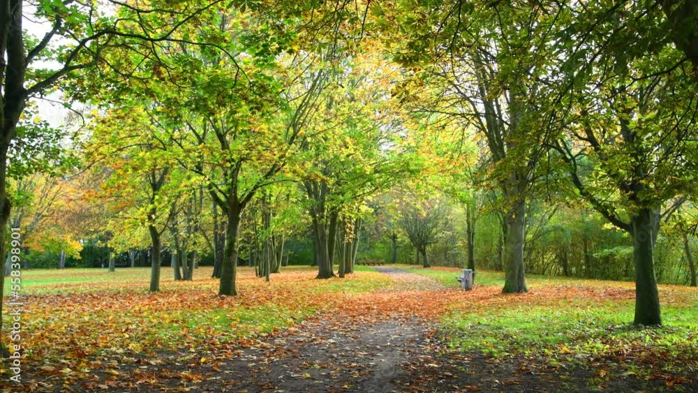 Autumn landscape background. Fall park with benches. Autumn landscape background. Fall park with benches.