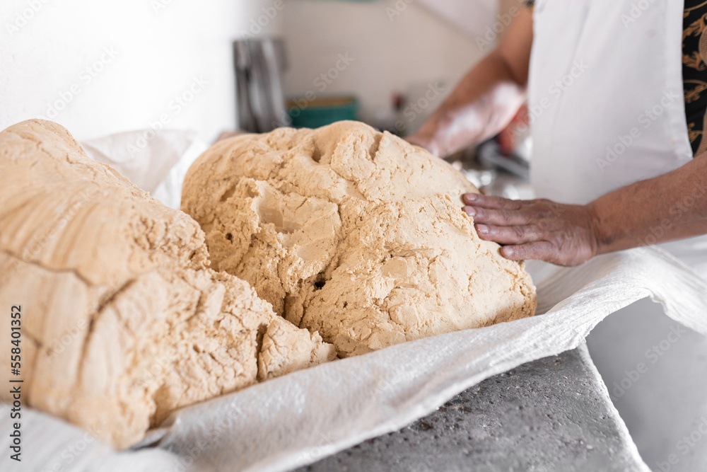 An adult tortilla maker is picking up the corn dough to prepare tortillas An adult tortilla maker is picking up the corn dough to prepare tortillas