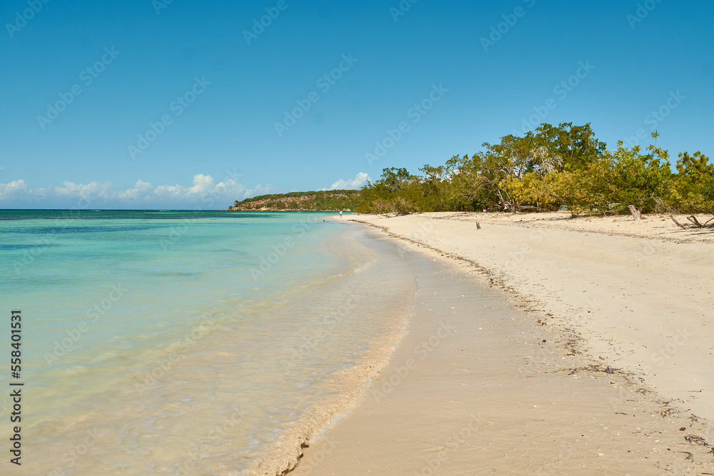 Playa del Caribe en República Dominicana