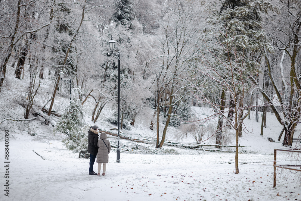 A couple looking at fallen tree in the park after the ice storm A couple looking at fallen tree in the park after the ice storm