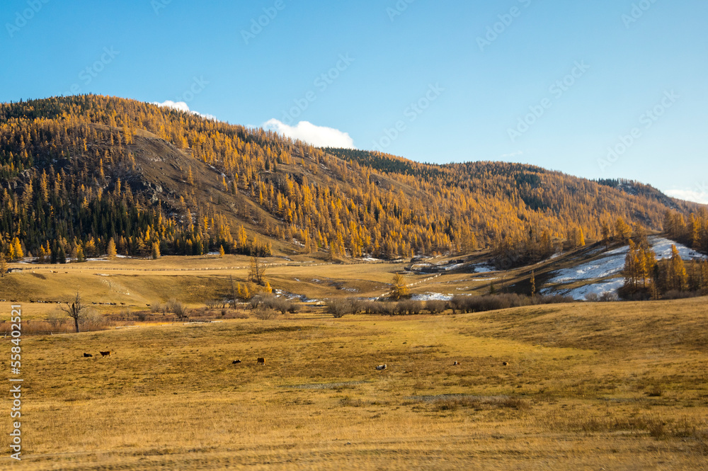 View of Ulagan Highlands in Altay mountains in the autumn