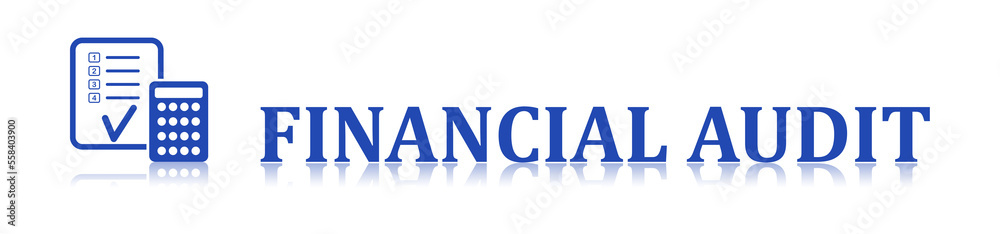 Concept of financial audit Concept of financial audit